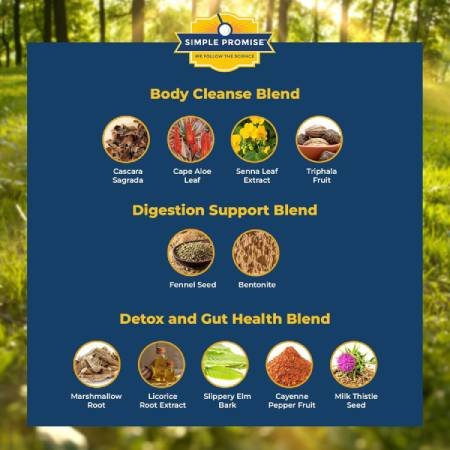 belly-flush-ingredients-natural-detox-health